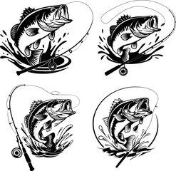 Bass Fishing , Fishing, Bass Fish