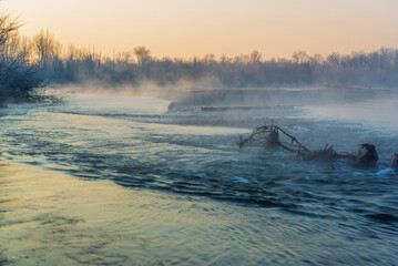 a winter foggy sunrise along the Ticino riverbank, Besate, Milano province
