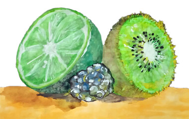 Kiwi, lime, blackberry, watercolor vector drawing. Vector illustration