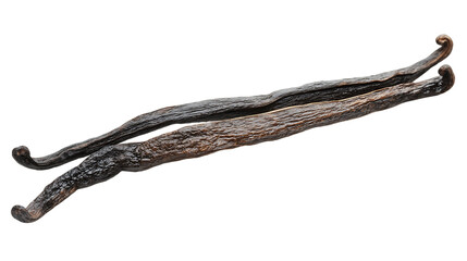 Two Dried Vanilla Beans on a Transparent Background, PNG