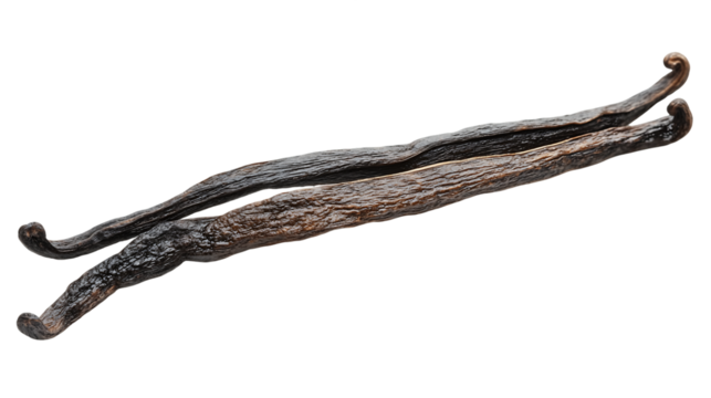 Two Dried Vanilla Beans on a Transparent Background, PNG