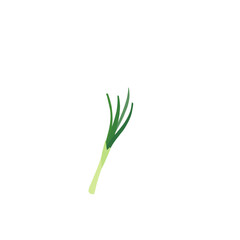 Green onion illustration