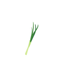 Green onion illustration