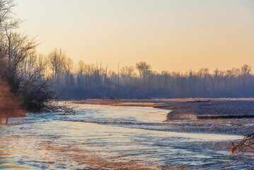 a winter foggy sunrise along the Ticino riverbank, Besate, Milano province
