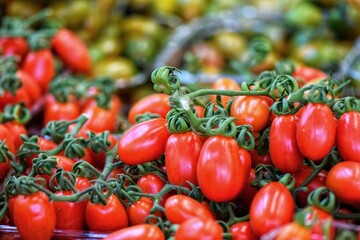 Cherry Tomatoes Packed for Sale