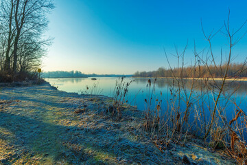 a winter foggy sunrise along the Ticino riverbank, Besate, Milano province
