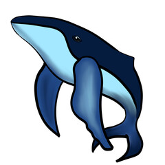 Blue Whale isolated on white