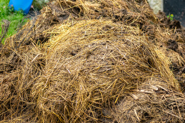 A pile of manure on an agricultural field, natural fertilizer for agriculture and horticulture