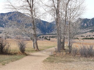 Two large trees on either side of the trail, Boulder, Colorado