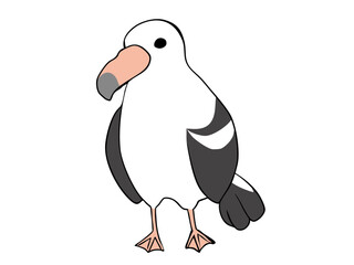 まるっこい アホウドリ