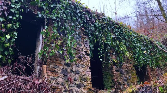 The ruined, lost, overgrown mining ghost town of Akarmara in the rain, the aftermath of the war in Abkhazia, in the mountains. A city on a cloudy winter day located near Tkvarcheli. Georgia.