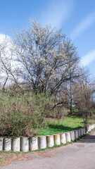 Fototapeta premium South Park in city of Sofia, Bulgaria