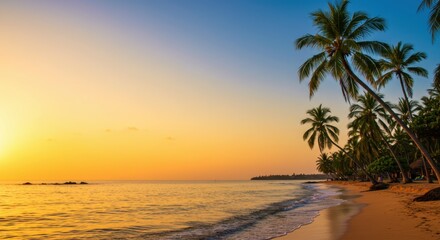 Tropical Sunset with Lush Palm Trees