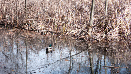South Park in city of Sofia, Bulgaria