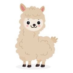 Cute cartoon alpaca vector illustration isolated on white background