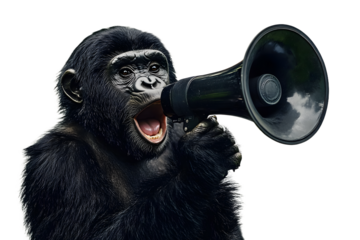 Gorila holding carry a big megaphone wildlife animal black.