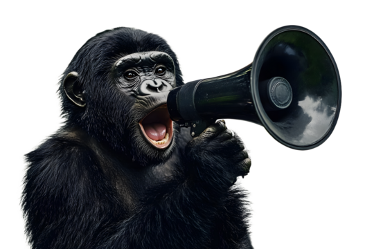 Gorila holding carry a big megaphone wildlife animal black.