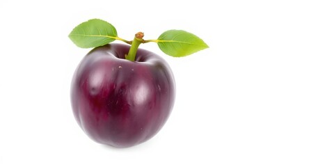 A single ripe plum, vibrant purple, isolated on pure white,  food photography, stone fruit