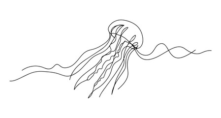 jellyfish vector line art monoline one line illustration outline drawing © Wieslaw