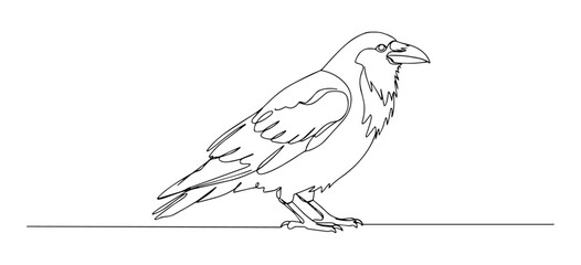 raven vector monoline one line line art bird