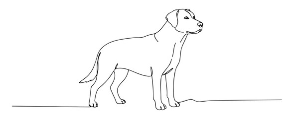 standing dog side view line drawing