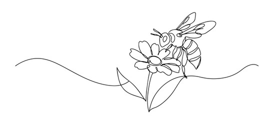bee sits on a flower and collects pollen in spring thin line art style vector © Wieslaw