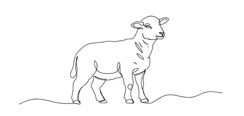 lamb sheep thin line art style vector