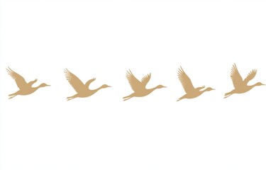 Beige Cranes in Flight Against White