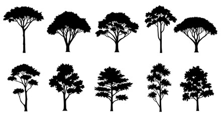Black stencils of trees and bushes, detailed outlines of forest elements on a white canvas