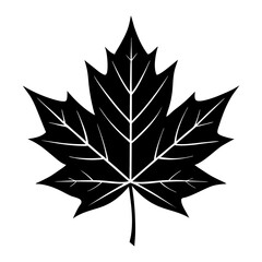 Obraz premium Autumn maple leaf vector illustration with nature-inspired design and decorative floral elements