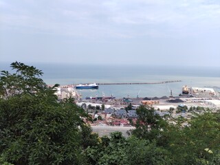 Obraz premium green trees forest landscape photo 