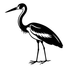 Obraz premium A heron standing on the beach with a black background, showcasing its grey feathers and long beak, representing wildlife and nature in Florida