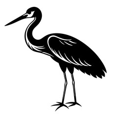 Obraz premium A heron standing on the beach with a black background, showcasing its grey feathers and long beak, representing wildlife and nature in Florida