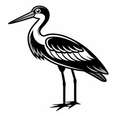 A heron standing on the beach with a black background, showcasing its grey feathers and long beak, representing wildlife and nature in Florida