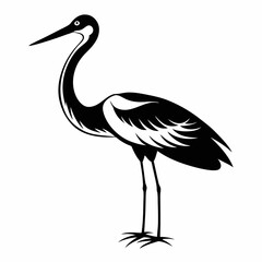 Fototapeta premium A heron standing on the beach with a black background, showcasing its grey feathers and long beak, representing wildlife and nature in Florida