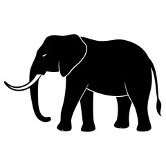 Obraz premium Gray elephant walking isolated on white background illustration