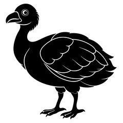 Dodo silhouette vector illustration  © Nur