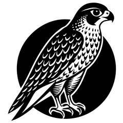 Forsaken falcon silhouette vector illustration