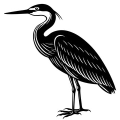 Harbinger Heron silhouette vector illustration 