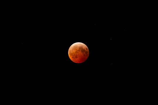 メーカー Luna Roja その他