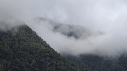 Dense green mountain slopes shrouded in thick mist and low-hanging clouds, creating a mysterious, tranquil atmosphere.
