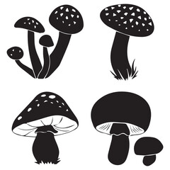 Black and White Set of Different Mushrooms Illustration
