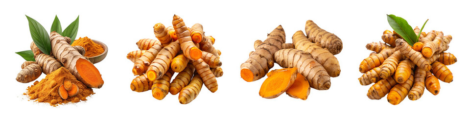 Fresh turmeric roots isolated on a transparent background.
