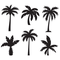 Obraz premium Black Palm Silhouettes Tropical Tree Shadows