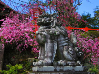 Komainu