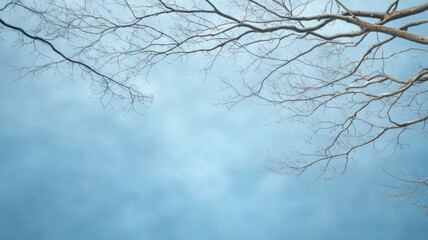 Fototapeta premium Bare Tree Branches Against a Pale Blue Cloudy Sky