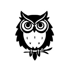 Fototapeta premium Owl on white background