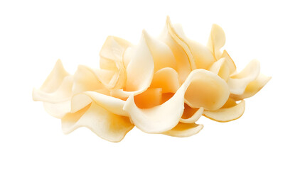 Swirl of yellow pasta noodles uncooked and curled ideal for Italian food cooking ingredient gourmet meal or dry pasta product branding visuals