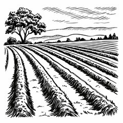 A black and white hand-drawn vector illustration of a plowed field 