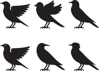 collection of birds vector art